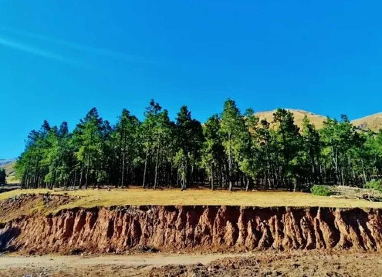 Venta Lote Pinar de los Ciervos