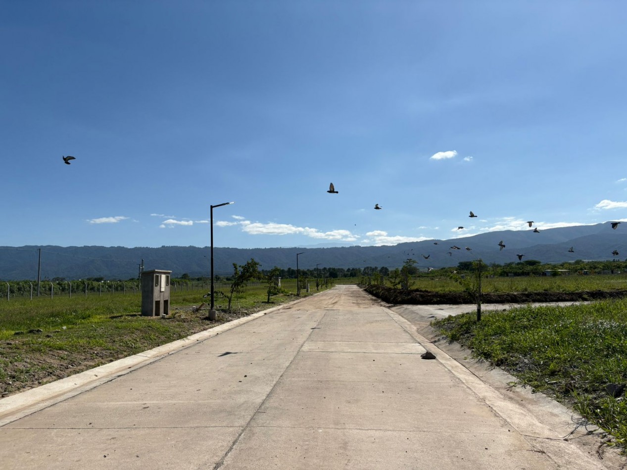 Venta Lote Country Yerba Buena Norte 