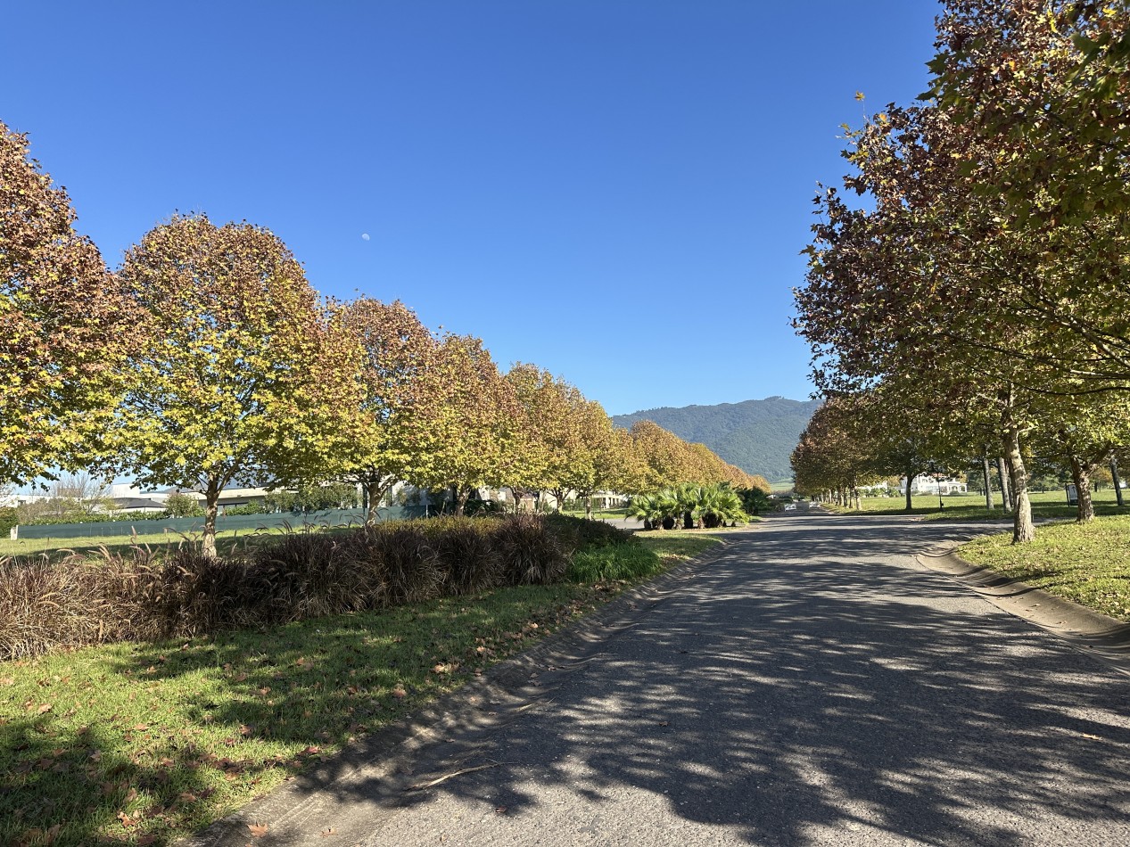 LOTES EN VENTA SAN PABLO COUNTRY
