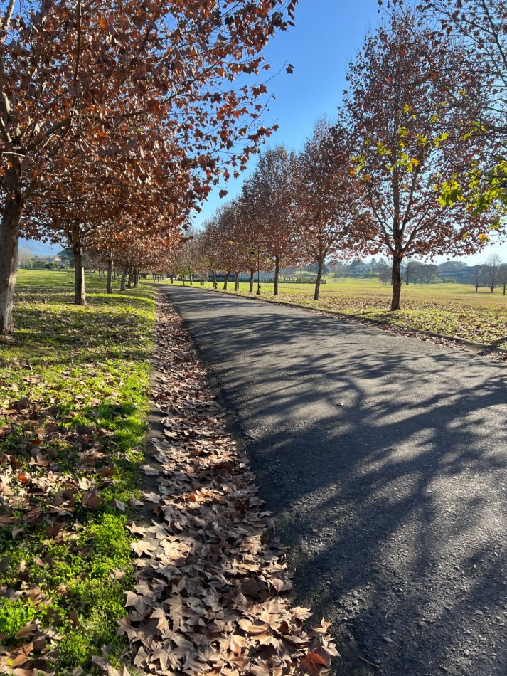 TERRENO EN VENTA | COUNTRY SAN PABLO