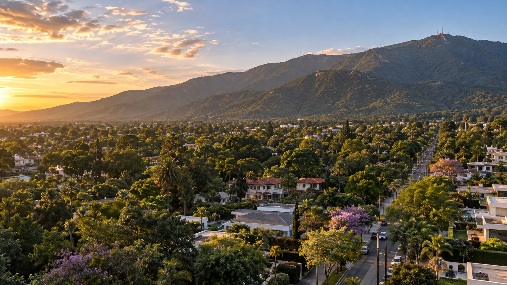 Javier Paz inmobiliaria